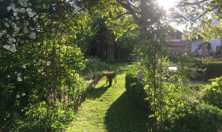 Auch auf relativ kleinem Gelände kann man schattige und pflegeleichte Gartengestaltung schaffen