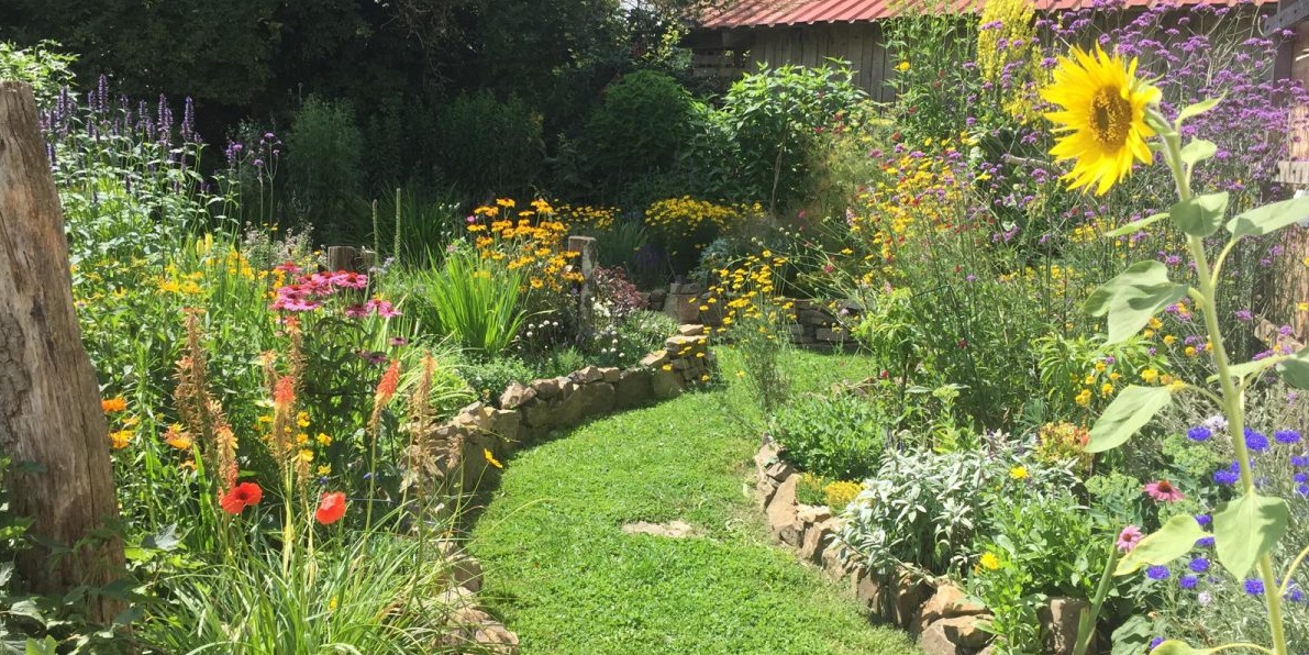 Sommergarten mit Bluetenreichtum für Insekten