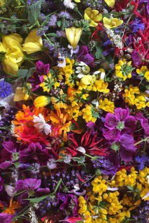 Getrocknete Blüten verzehrbar